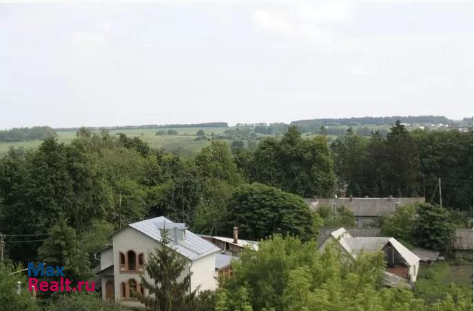 Железногорск Орловская область, село Тросна частные дома