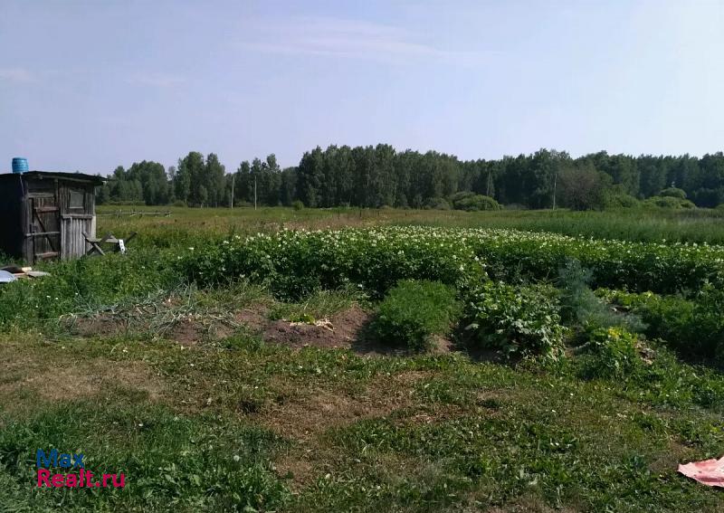 Каменск-Уральский Челябинская область, село Клепалово, Береговая улица частные дома