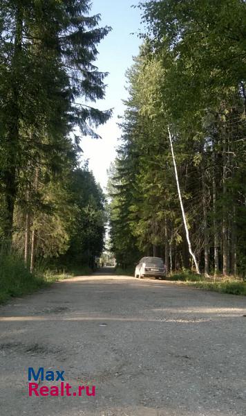 Сыктывкар садовое товарищество Дырносские Дачи, СНТ Заря частные дома