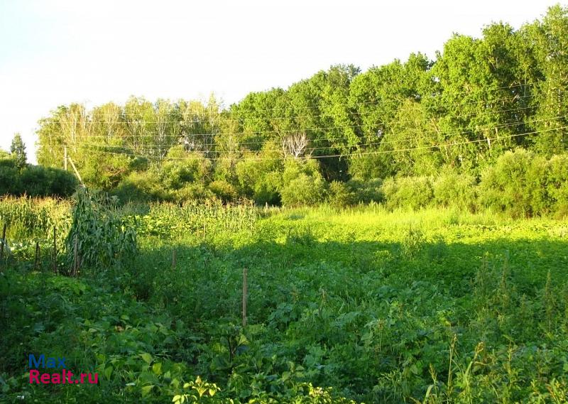 Благовещенск село Дмитриевка, Набережная улица, 85 частные дома