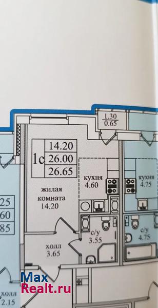 посёлок Парголово, улица Николая Рубцова, 5 Санкт-Петербург продам квартиру