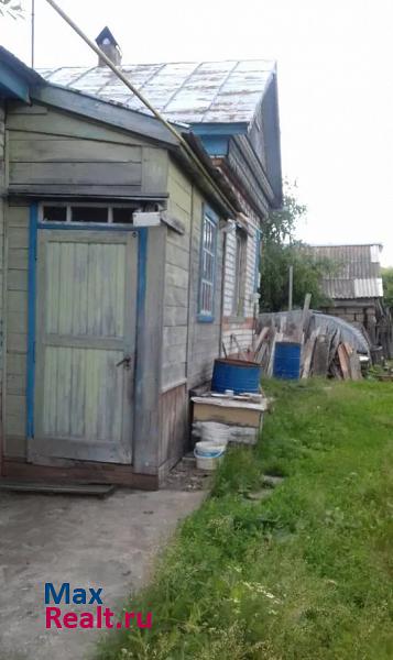 Тольятти село Нижнее Санчелеево, улица Чапаева, 40 частные дома