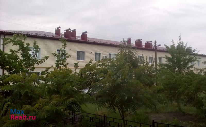 село Петропавловка, улица Ленина, 103 Петропавловка квартира