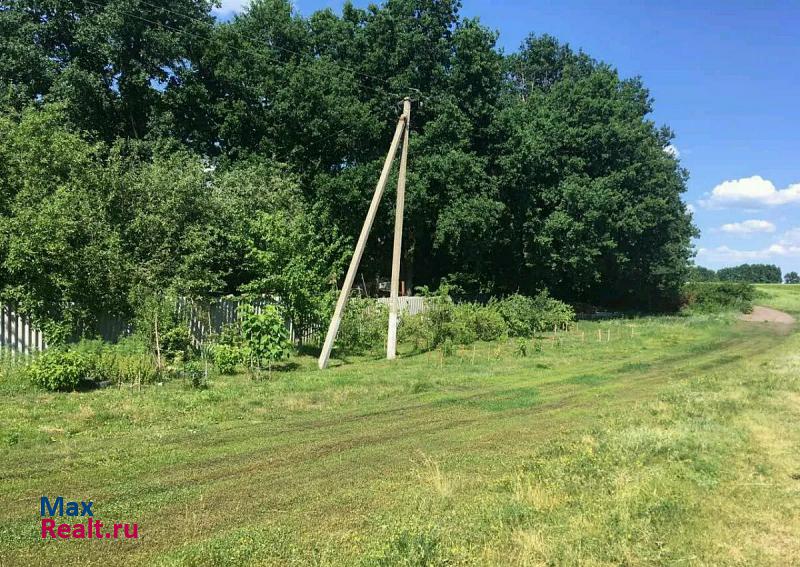 купить частный дом Репьевка Белгородская область, село Большое