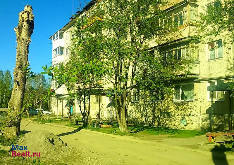 посёлок Гагарский, 209 Верхнее Дуброво квартира