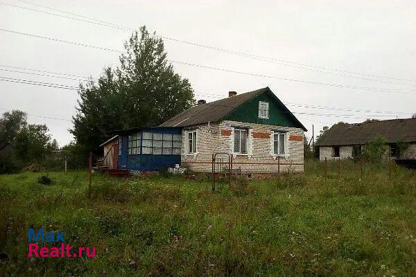 купить частный дом Пучеж Илья-Высоковское сельское поселение, село Лужинки