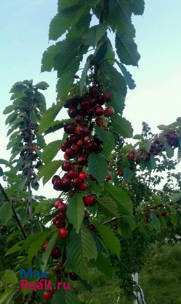 купить частный дом Супсех село Варваровка, улица Калинина