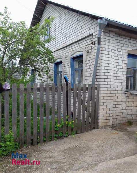 купить частный дом Новосмолинский село Золино
