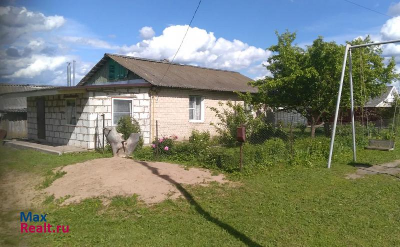 купить частный дом Красный деревня Малеево