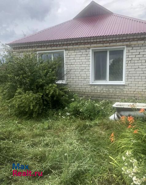 купить частный дом Большое Нагаткино село, Цильнинский район, Карабаевка