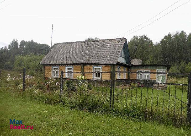 купить частный дом Новосокольники деревня Васютино