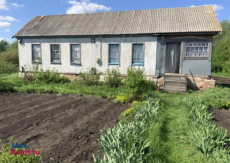 купить частный дом Токаревка село Громушка