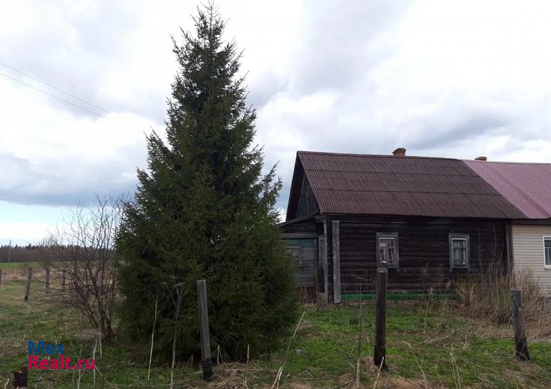 купить частный дом Большое Село деревня Большое Лопатино