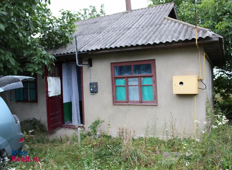 купить частный дом Злынка Новоушицкий район, Хмельницкая область, Украина, село Рудковцы