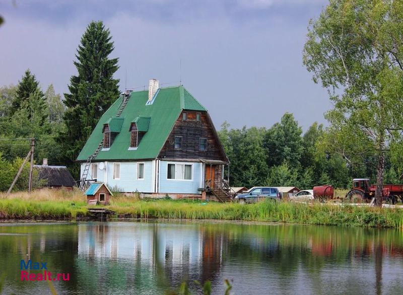 купить частный дом Пушкинские Горы д.Горушка, Пушкиногорский район