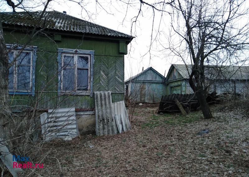 купить частный дом Горшечное село, Воронежская область, Нижнедевицк