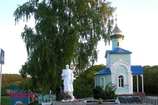 купить частный дом Майский село Новая Нелидовка