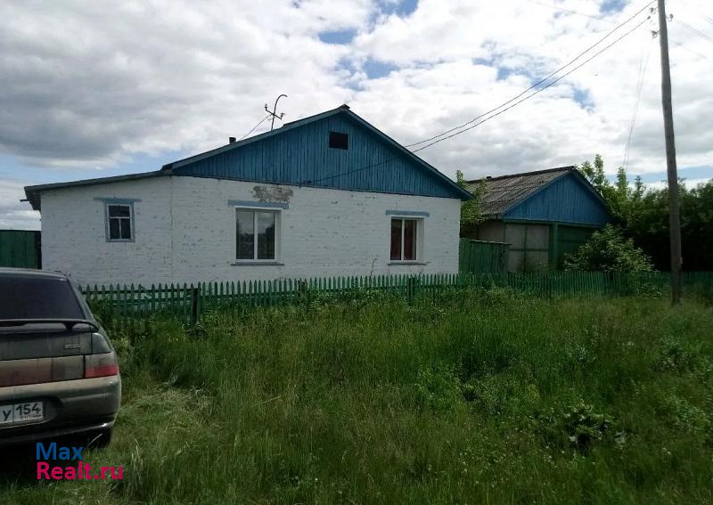 купить частный дом Татарск деревня Новоалександровка (Горькое)