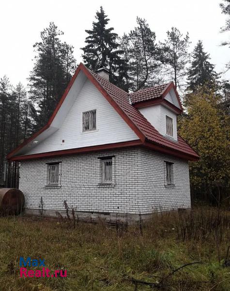 купить частный дом Первомайское Рощинское городское поселение, поселок Цвелодубово