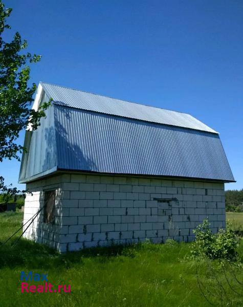 купить частный дом Доброе леденевка