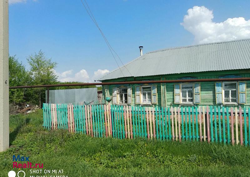 купить частный дом Борское село, Борский район, Коноваловка