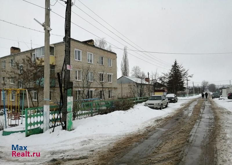 село Боринское, улица Салтыкова-Щедрина, 36 Боринское квартира