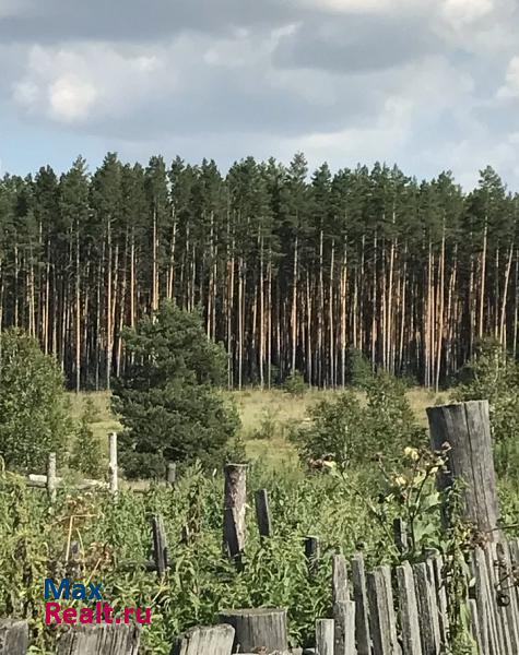 купить частный дом Пласт село Михайловка