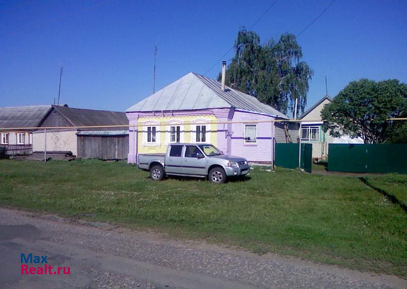 купить частный дом Краснослободск Село Новая Карьга