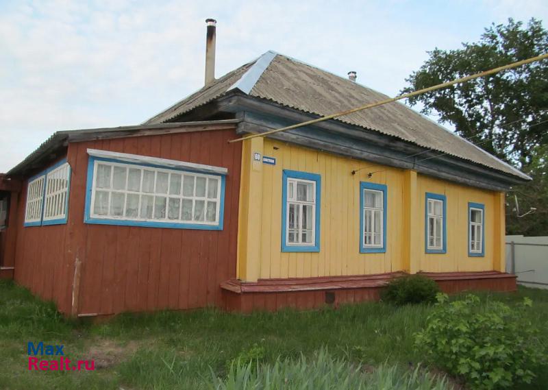 купить частный дом Краснослободск село Старое Синдрово