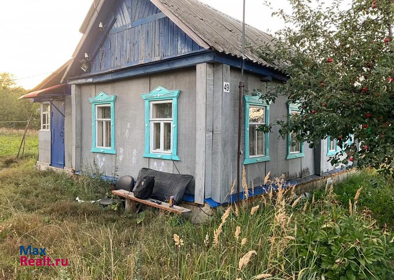 купить частный дом Мокшан сельское поселение Нечаевский сельсовет, село Нечаевка