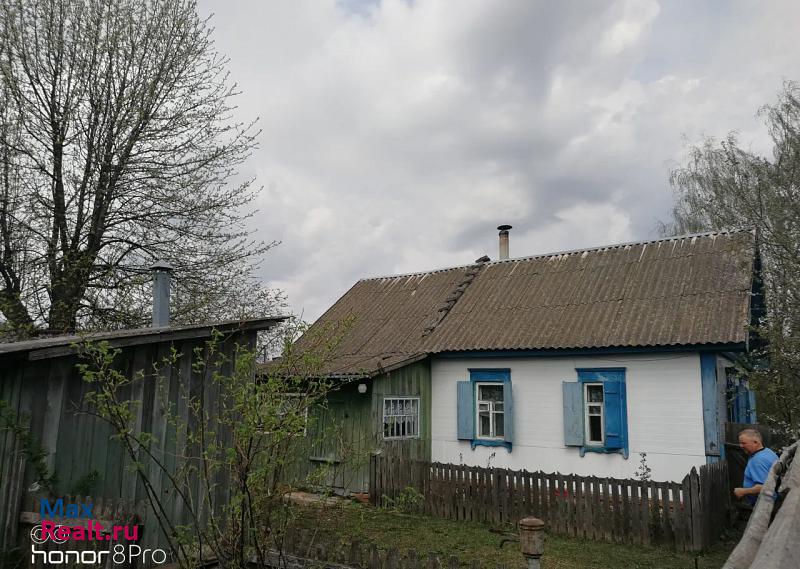 купить частный дом Климово село Новый Ропск