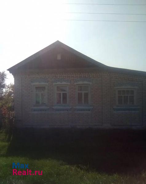 купить частный дом Лукоянов село Шандрово, улица Немцева