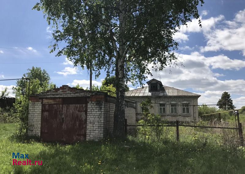 купить частный дом Лукоянов село Большое Мамлеево