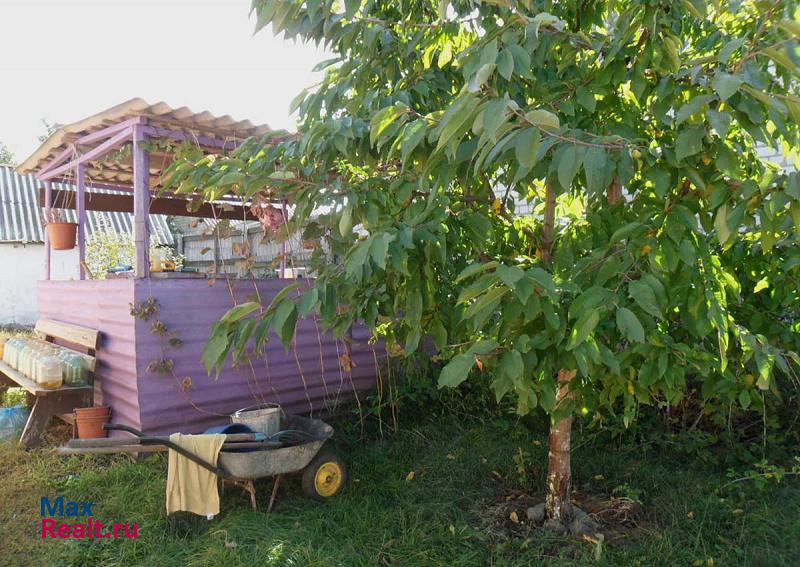 купить частный дом Ивня село Верхопенье