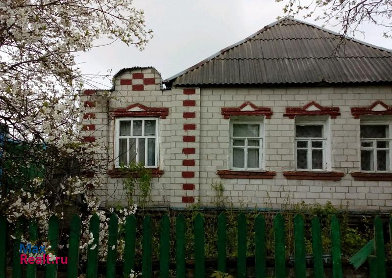 купить частный дом Суджа Большесолдатский район, поселок Новосотницкий