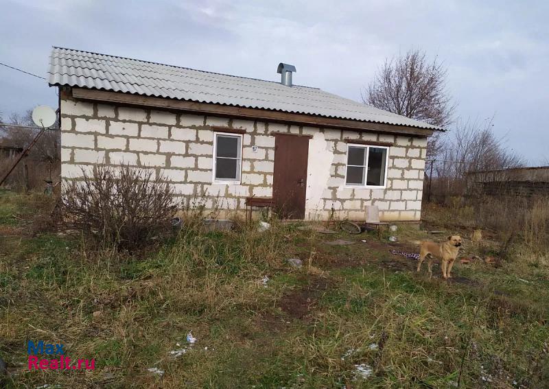 купить частный дом Киреевск деревня Брусяновка, 97