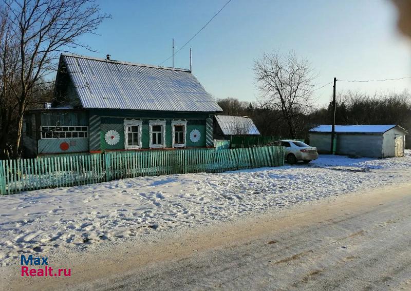 купить частный дом Чернушка село Павловка