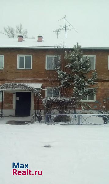 село Городок, Заводская улица, 6 Минусинск квартира