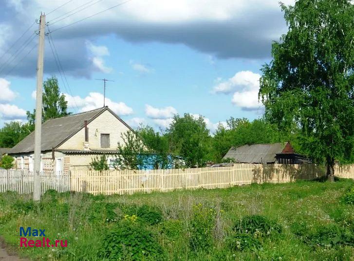 купить частный дом Каменка сельское поселение Успенский сельсовет, посёлок Отрадный, Центральная улица