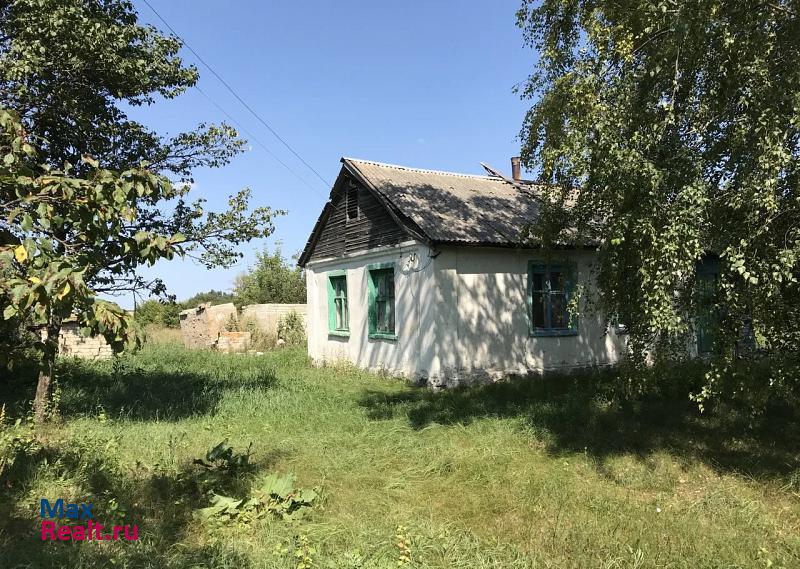 купить частный дом Панино село Новохреновое