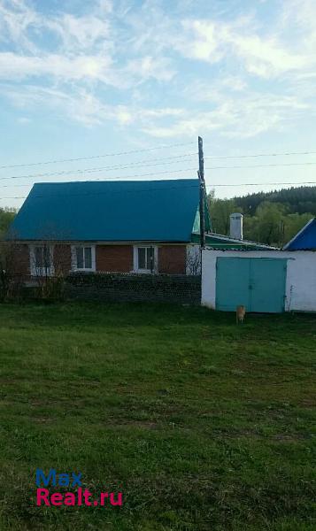 купить частный дом Бавлы село Поповка