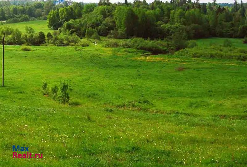 купить частный дом Светлогорск Зеленоградский городской округ