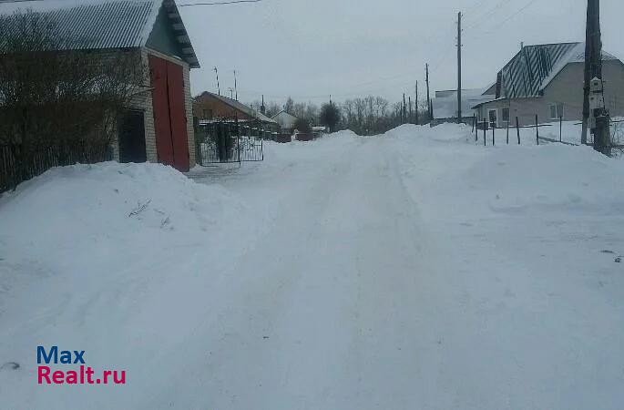 Барнаул село Гоньба, Берёзовая улица частные дома