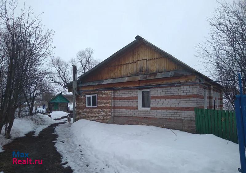 купить частный дом Азнакаево село Балтачево