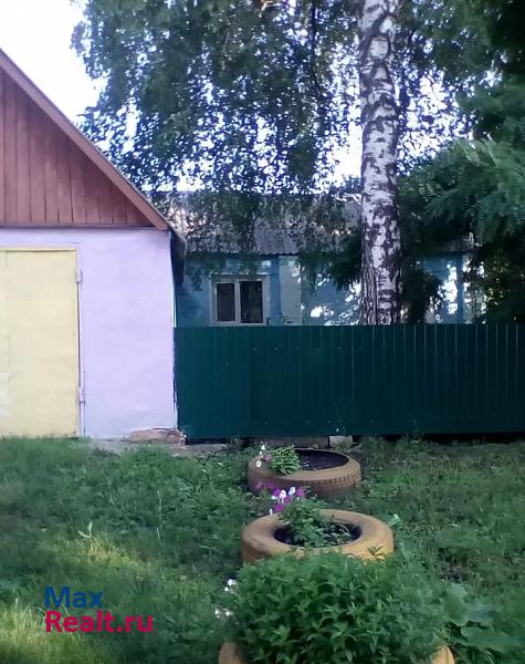 Роговатое Воронежская область, село Синие Липяги частные дома