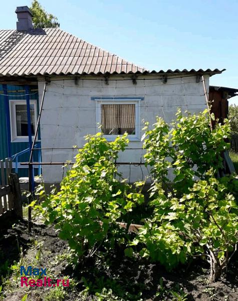 Острогожск село Терновое продажа частного дома