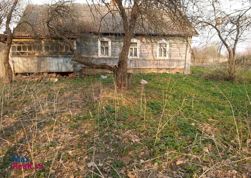 Шаталово деревня Радышково частные дома