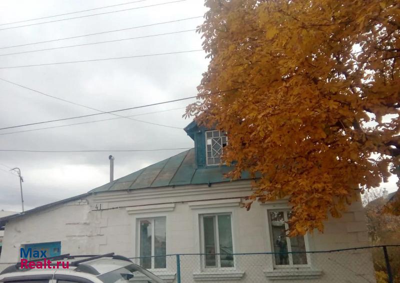 Каменка улица Радищева, 41 продажа частного дома