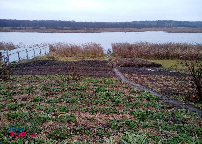 Моршанск село Питерское продажа частного дома