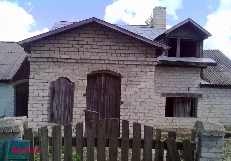 Скопин село Лопатино продажа частного дома
